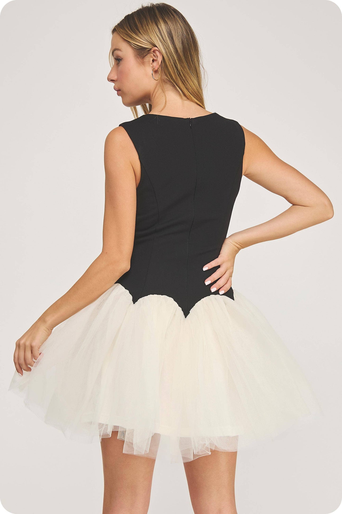 Black Swan Dress