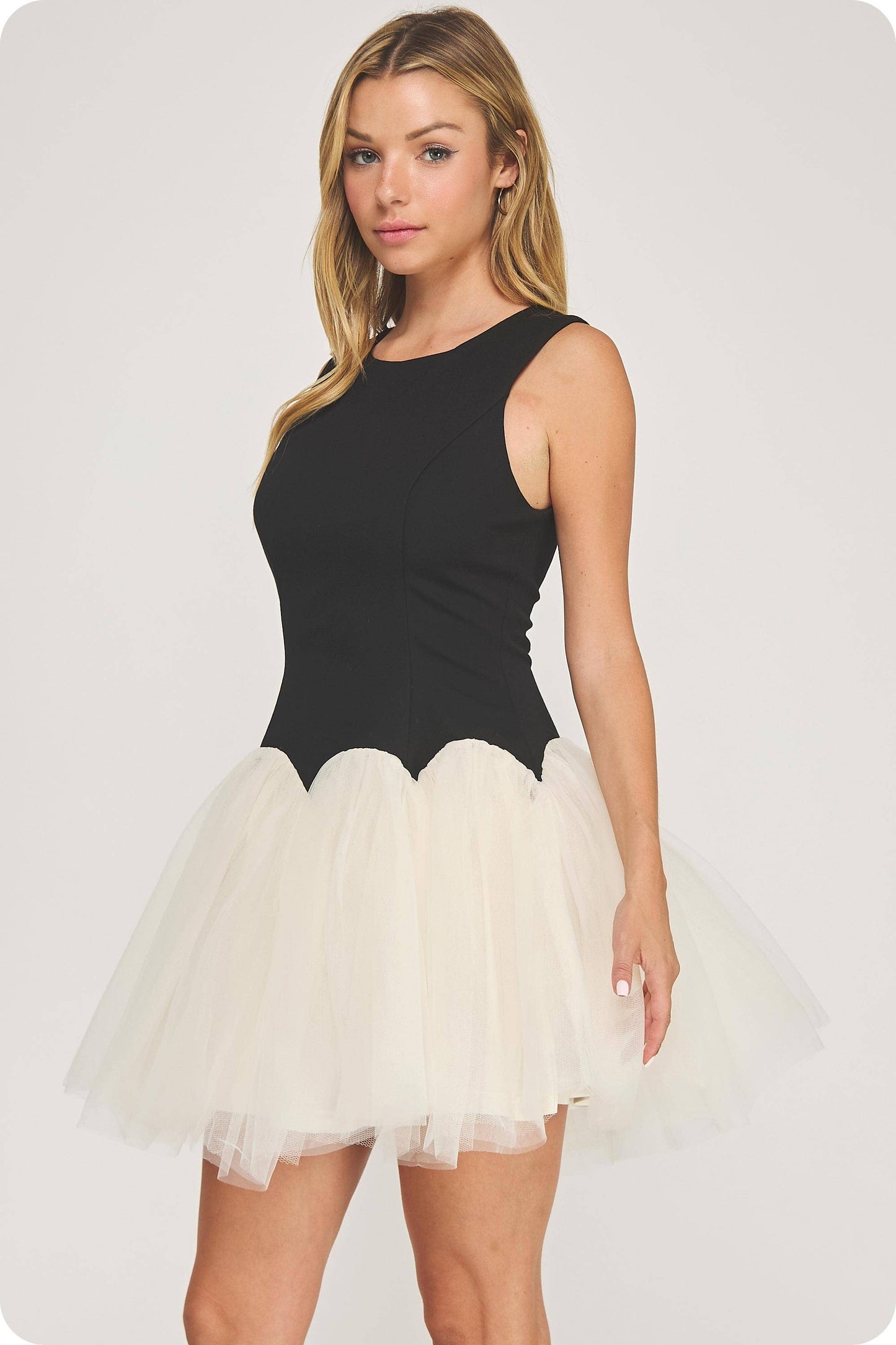 Black Swan Dress