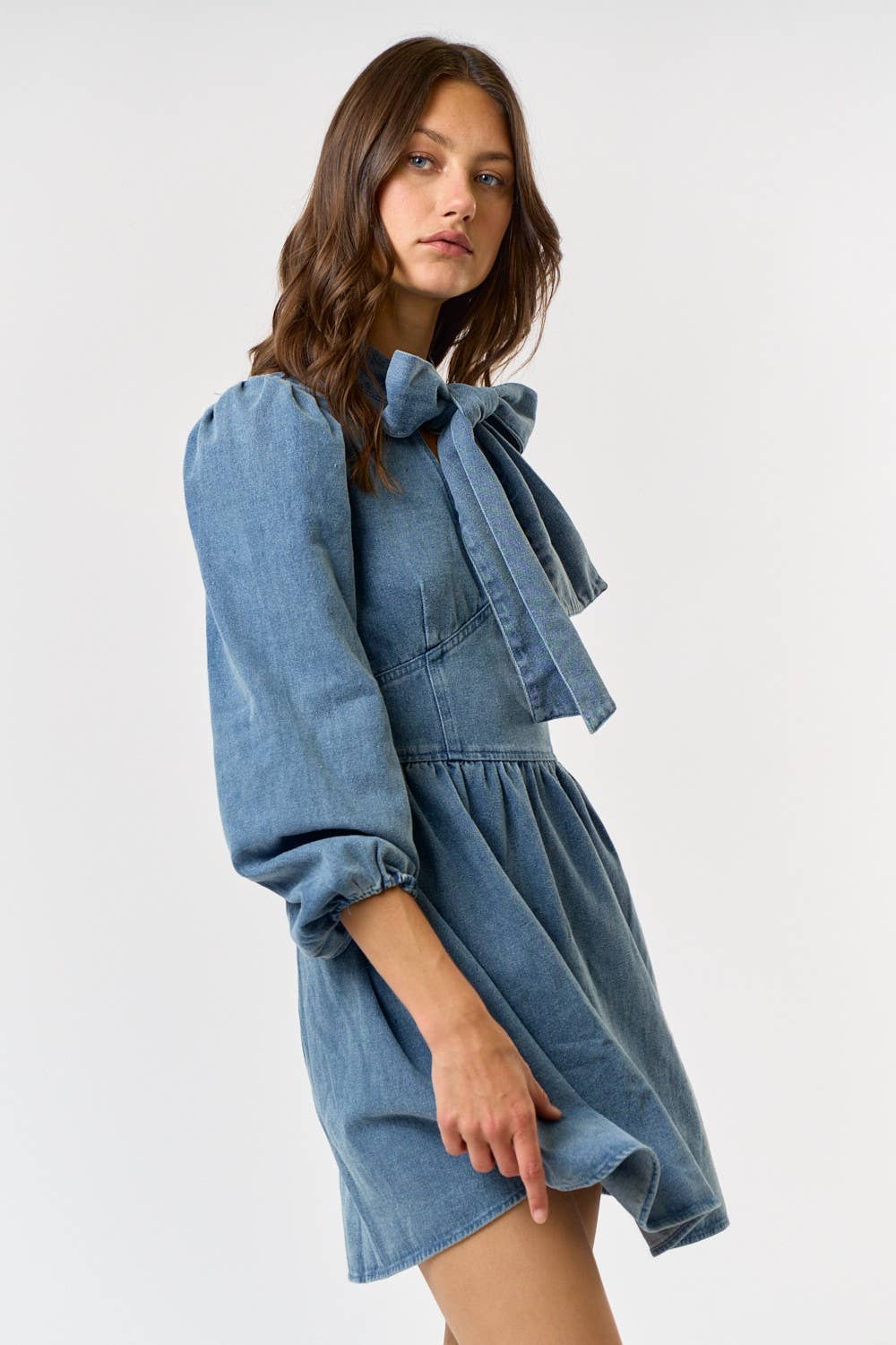 Eloise Denim Dress