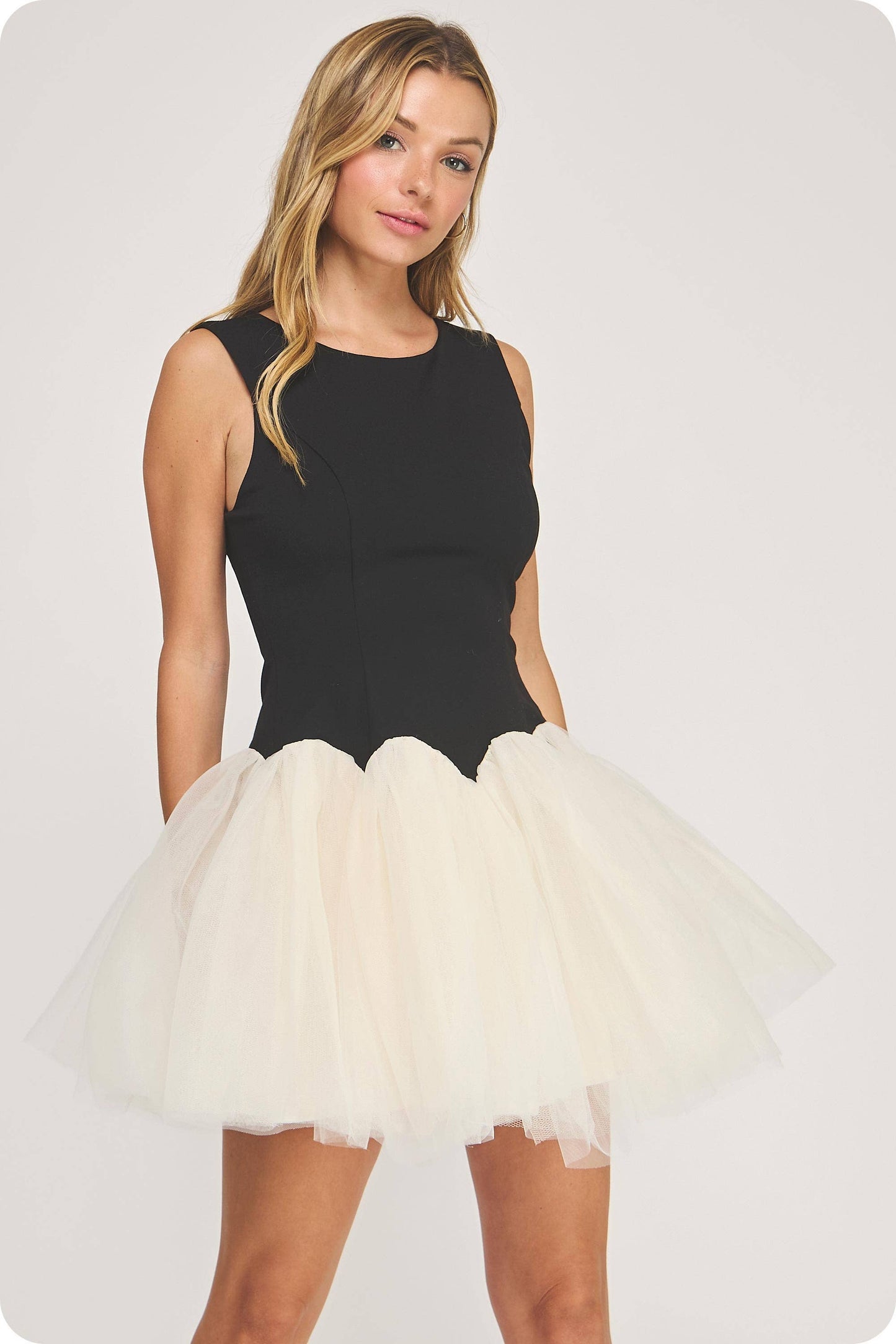 Black Swan Dress