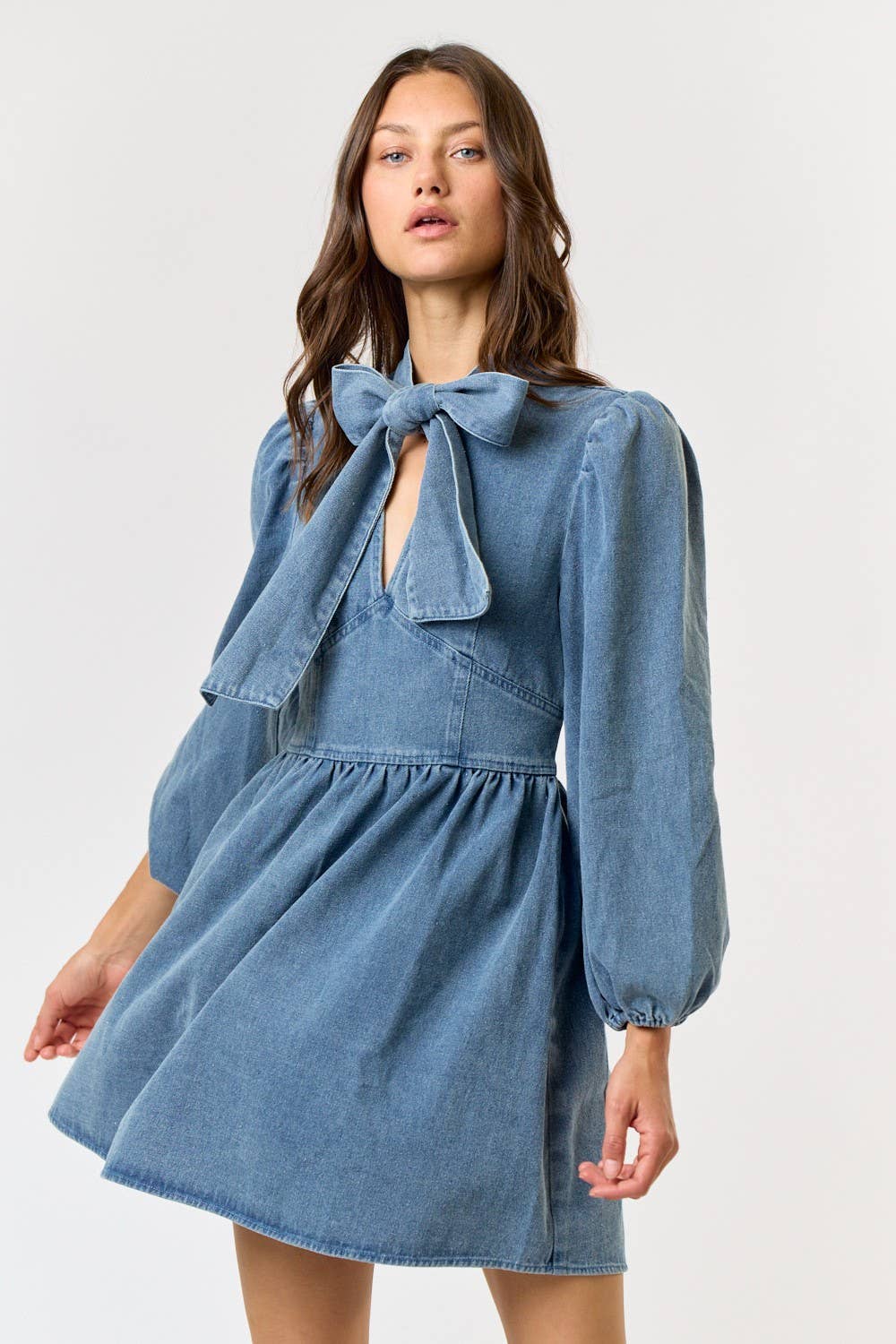 Eloise Denim Dress