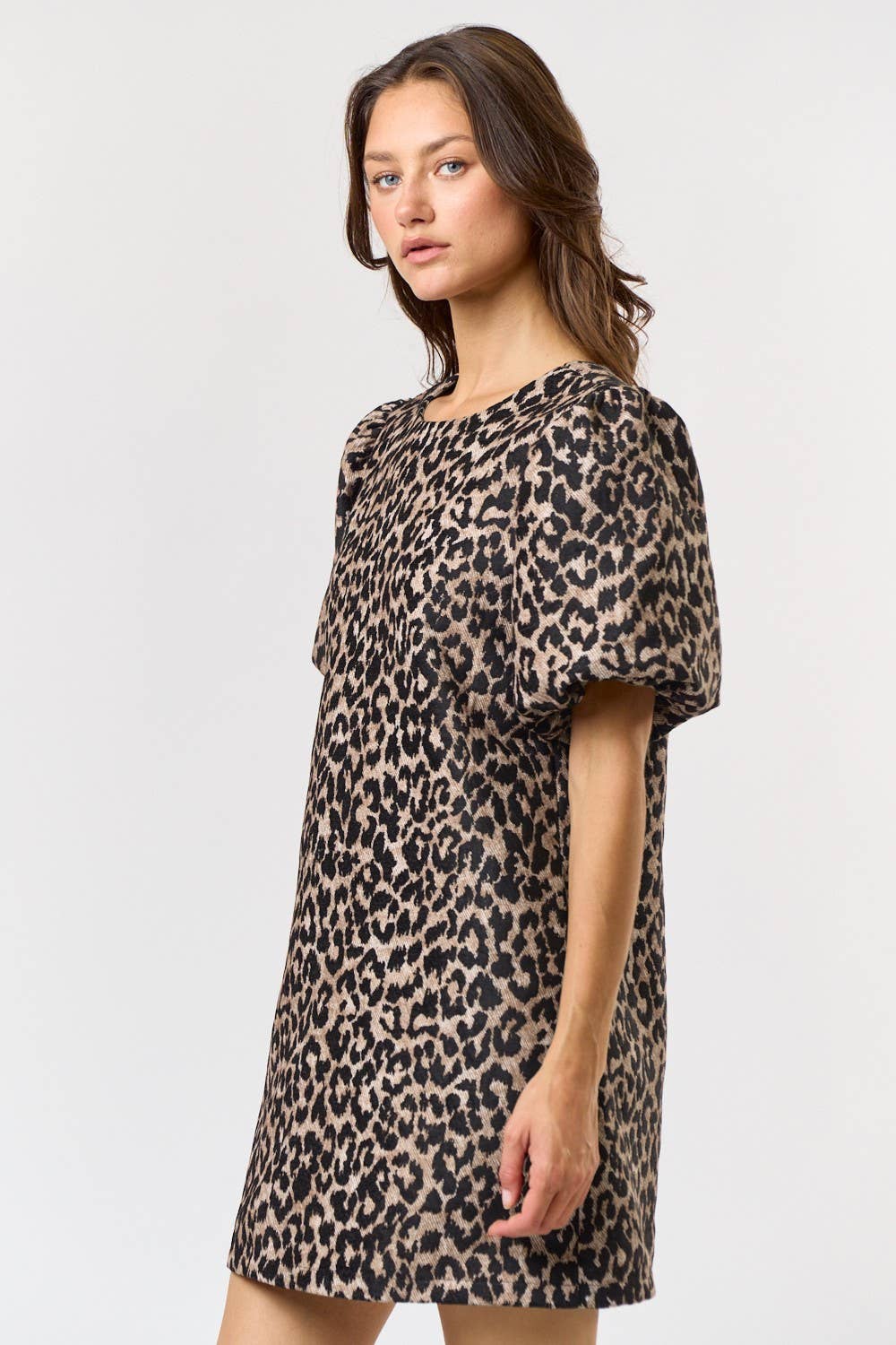 Libby Leopard Dress