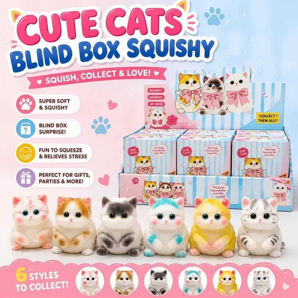 Chubby Cat Taba Blind Box Squishy