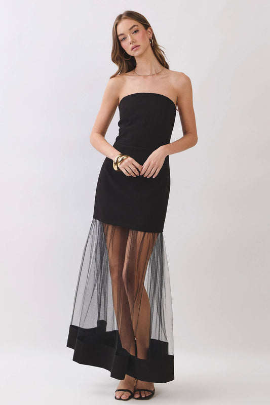 Anna Sheer Tulle Skirt Dress