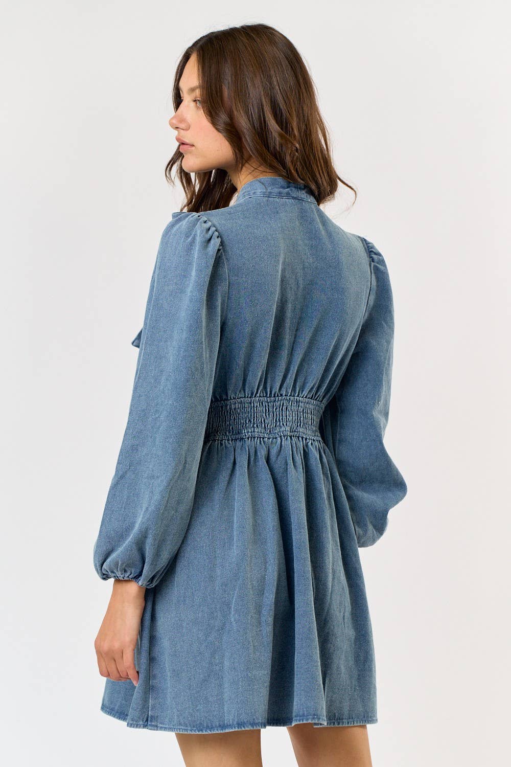 Eloise Denim Dress