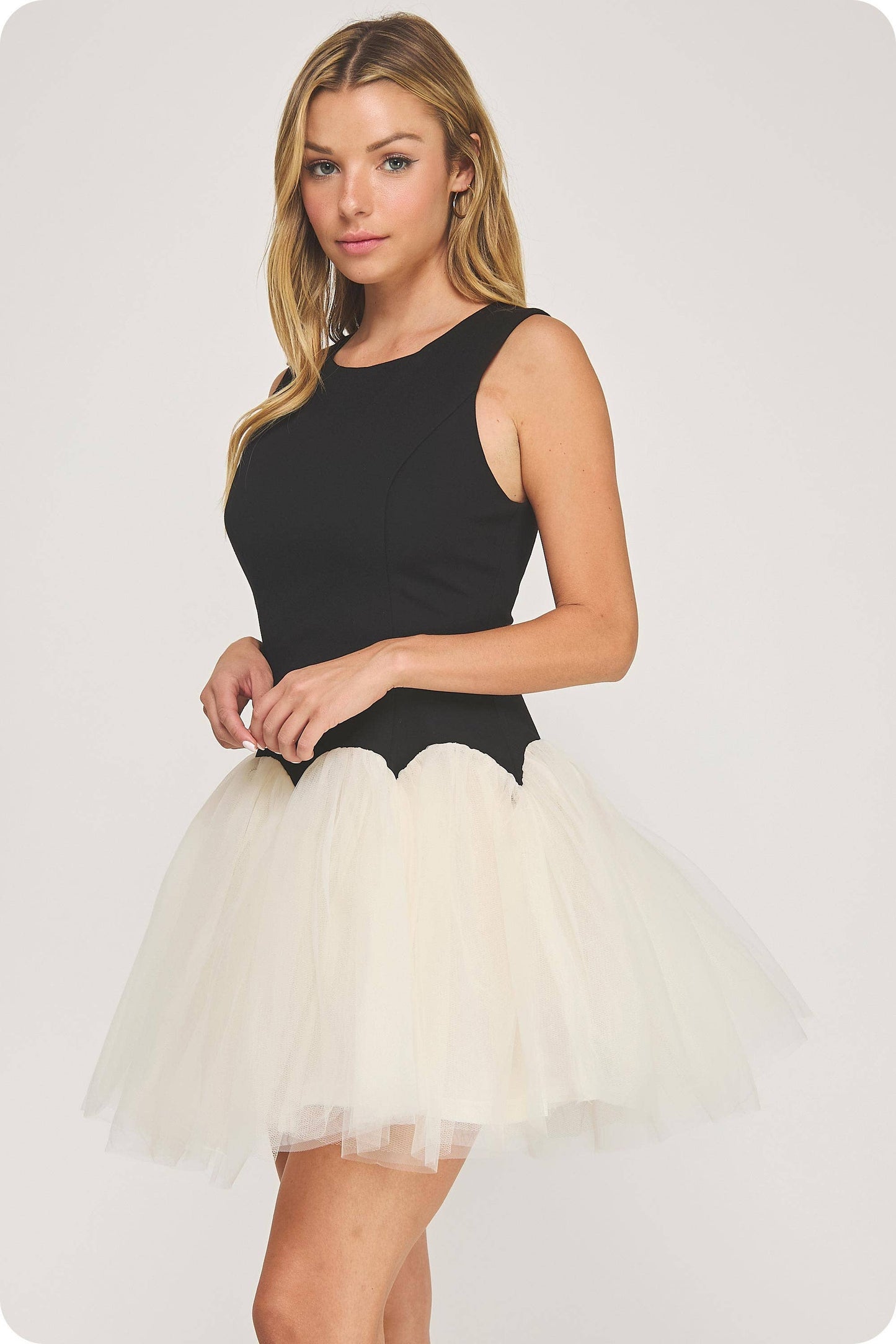 Black Swan Dress