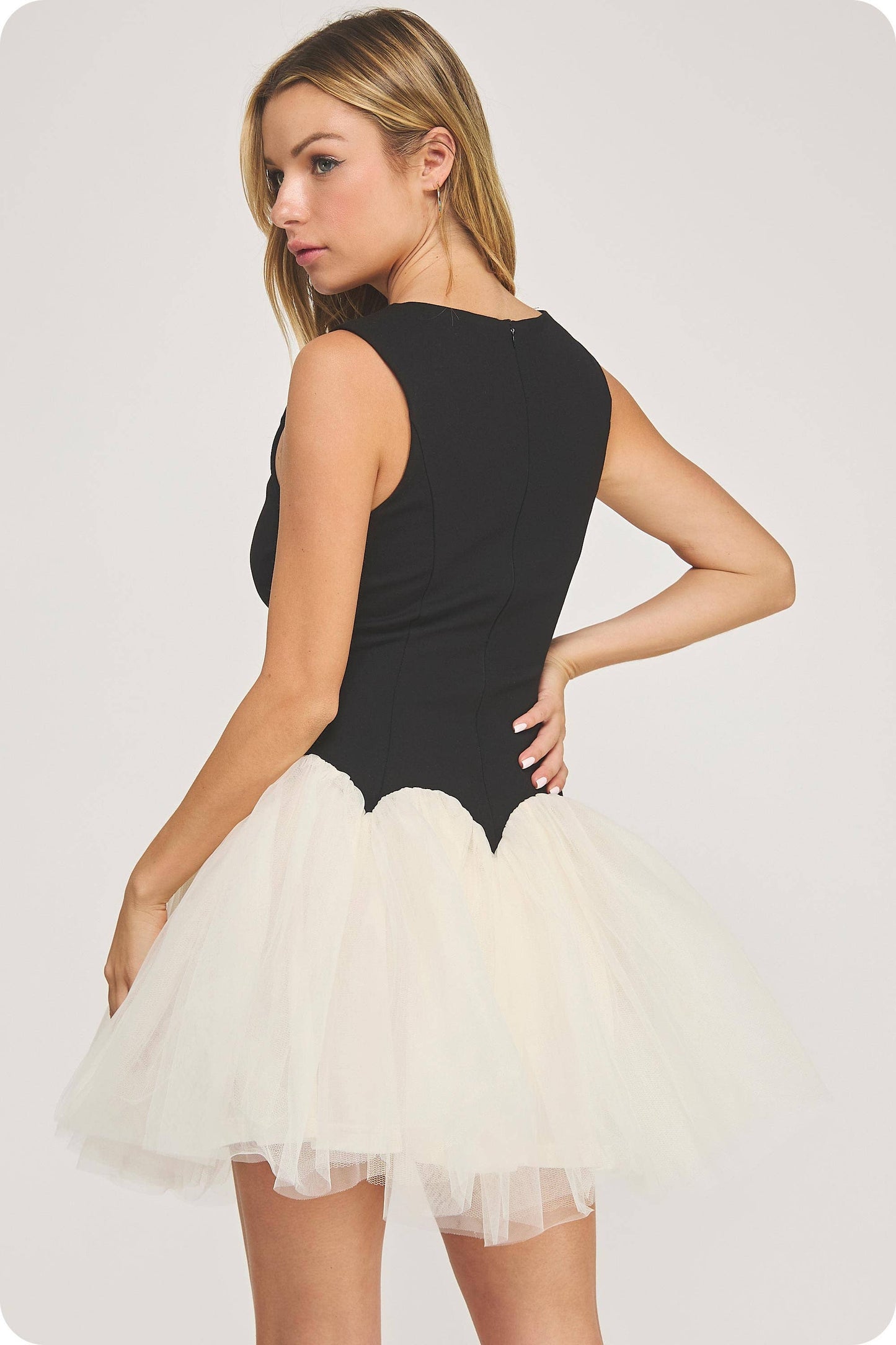 Black Swan Dress