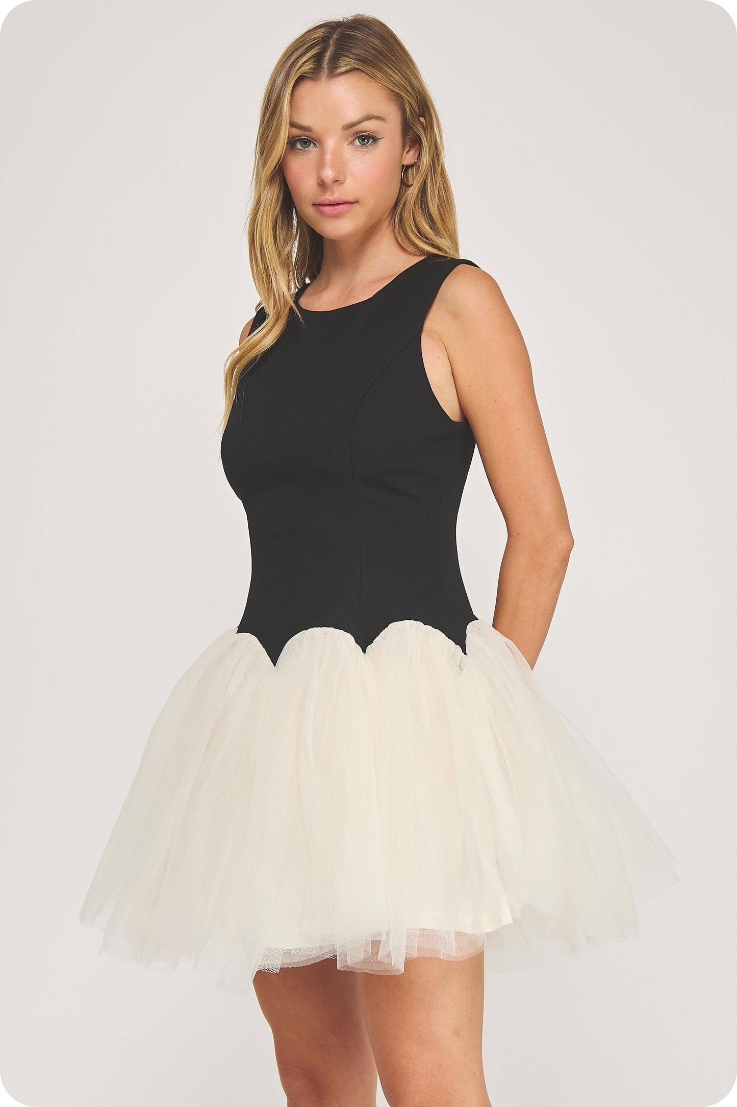 Black Swan Dress